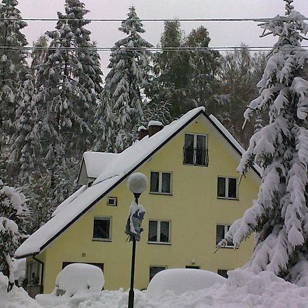 Apartamenty Grapa Szum Rzeki Parking Free ヴィスワ エクステリア 写真