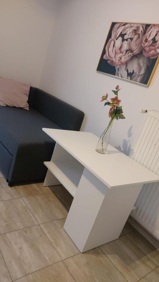 Apartamenty Grapa Szum Rzeki Parking Free ヴィスワ エクステリア 写真