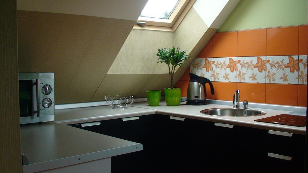 Apartamenty Grapa Szum Rzeki Parking Free ヴィスワ 部屋 写真