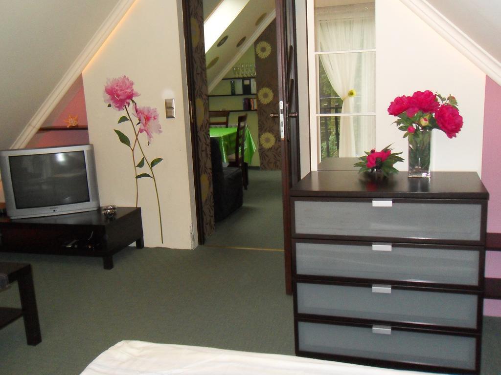 Apartamenty Grapa Szum Rzeki Parking Free ヴィスワ 部屋 写真