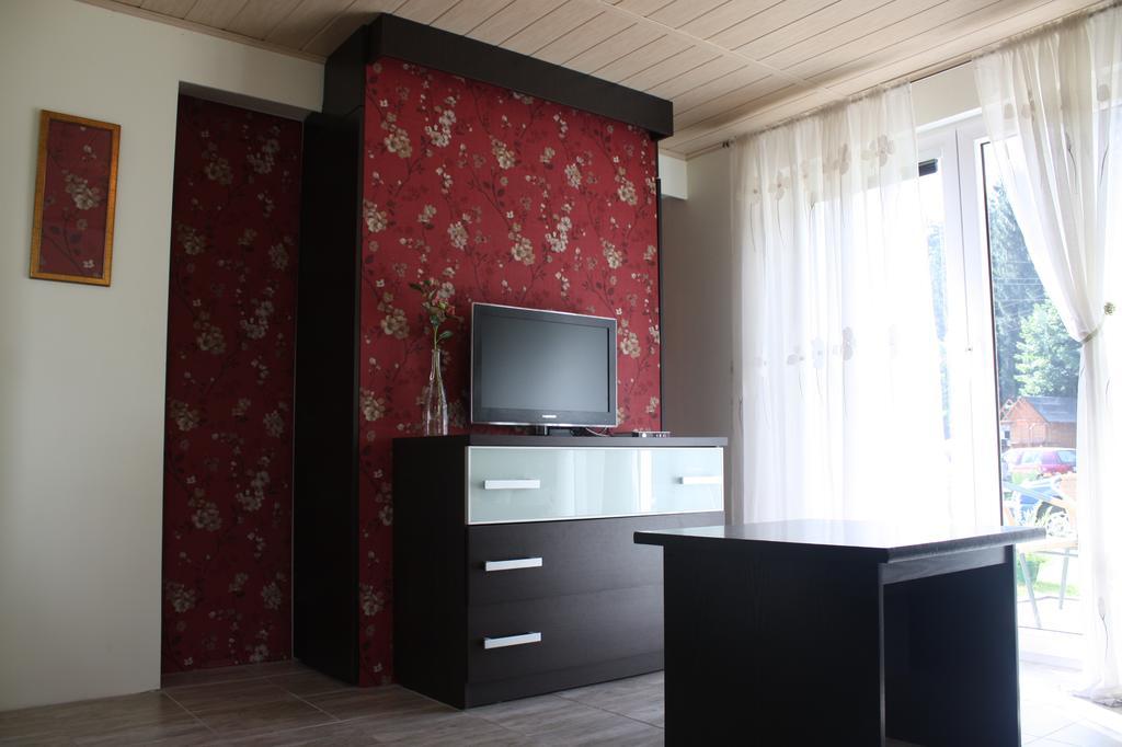 Apartamenty Grapa Szum Rzeki Parking Free ヴィスワ エクステリア 写真