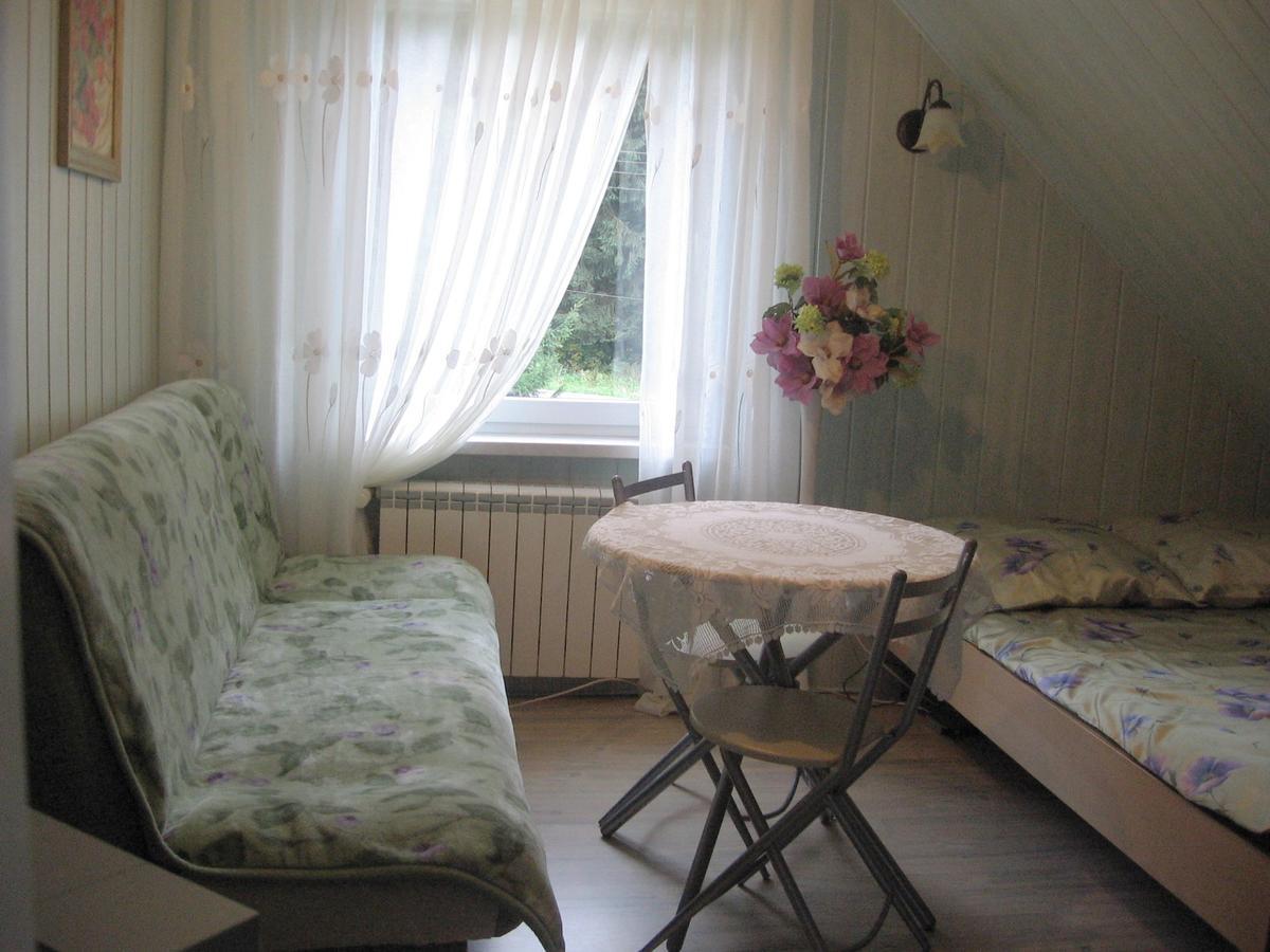 Apartamenty Grapa Szum Rzeki Parking Free ヴィスワ エクステリア 写真