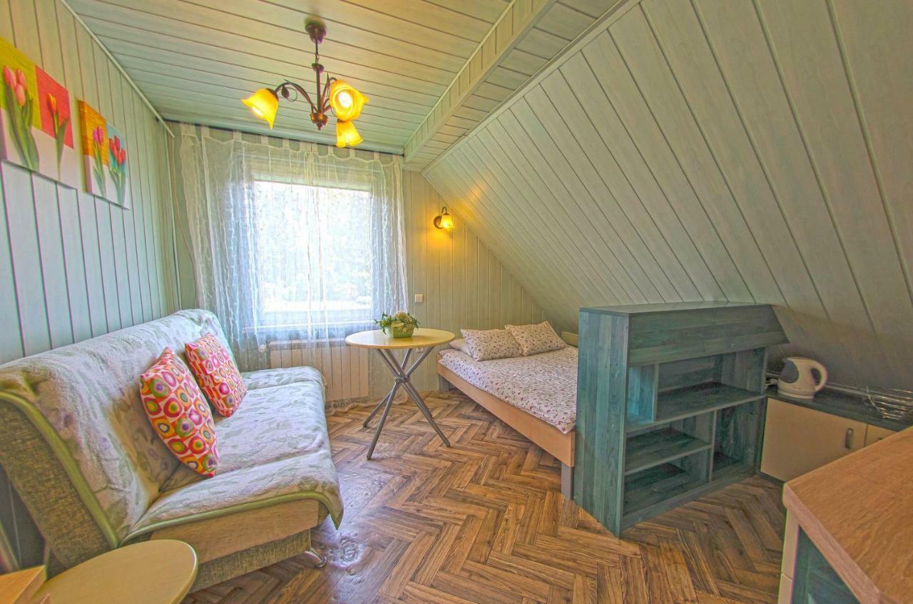 Apartamenty Grapa Szum Rzeki Parking Free ヴィスワ エクステリア 写真