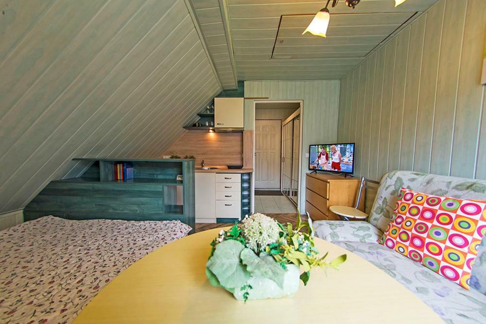 Apartamenty Grapa Szum Rzeki Parking Free ヴィスワ エクステリア 写真