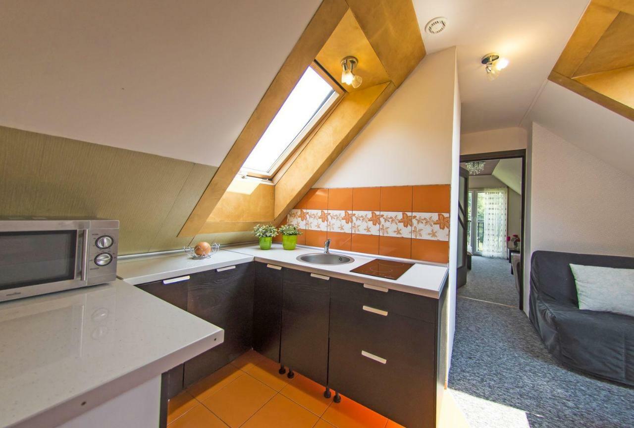 Apartamenty Grapa Szum Rzeki Parking Free ヴィスワ エクステリア 写真