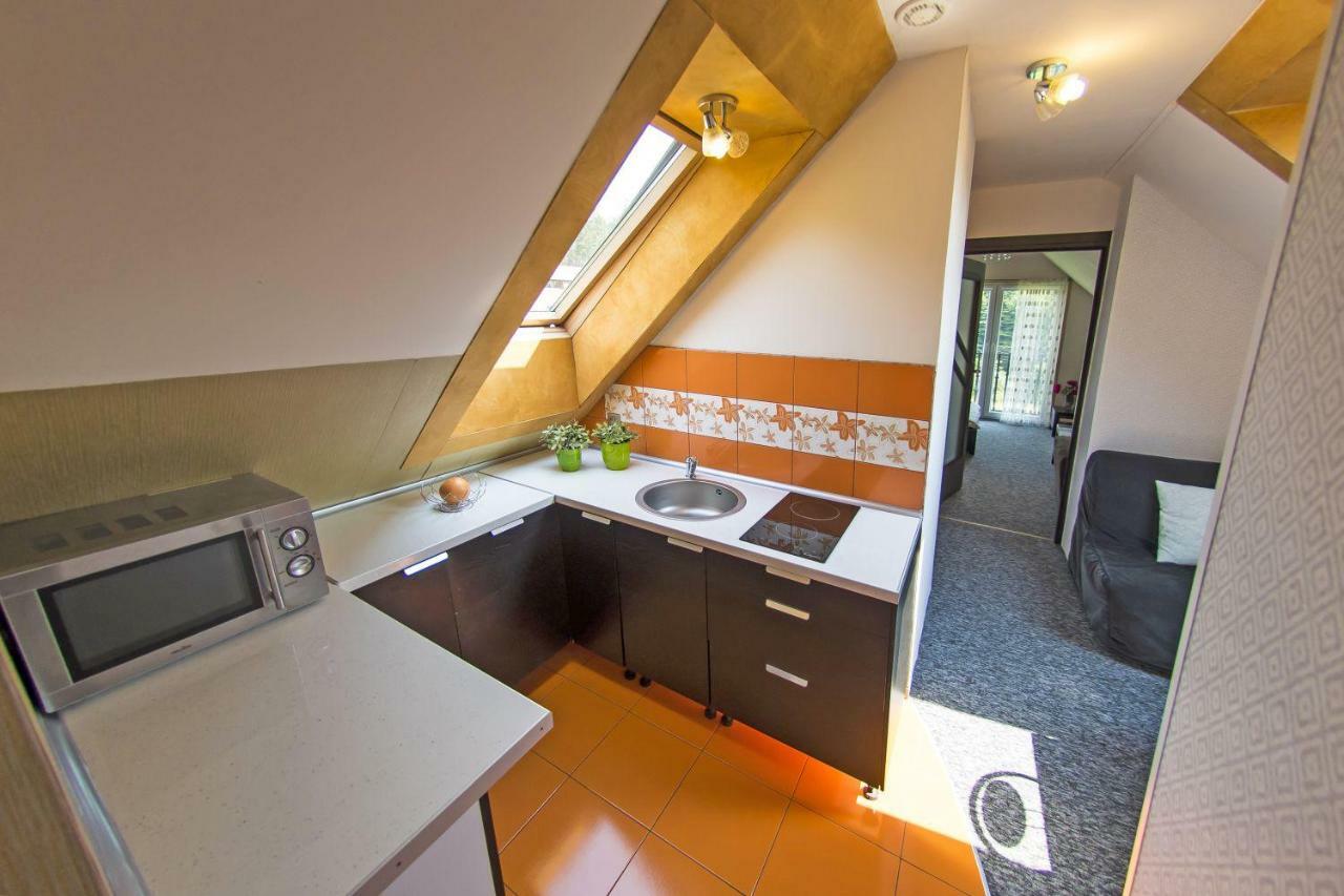 Apartamenty Grapa Szum Rzeki Parking Free ヴィスワ エクステリア 写真
